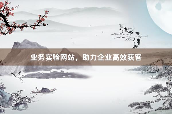 业务实验网站，助力企业高效获客