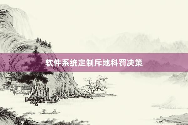 软件系统定制斥地科罚决策