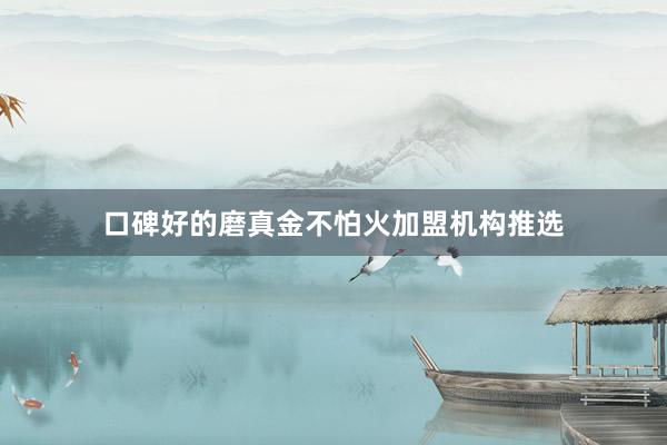 口碑好的磨真金不怕火加盟机构推选